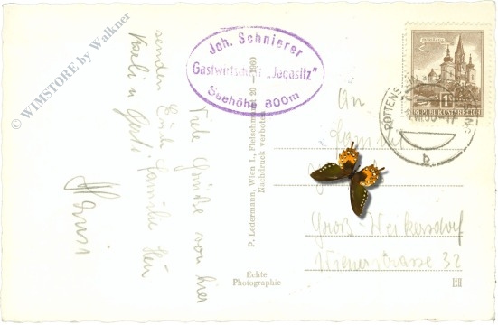 muggendorf, steinwandklamm, große leiter am rudolf deckersteig