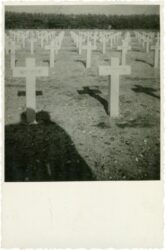 friedhof friedhof