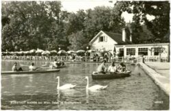 baden, teich im doblhoffpark