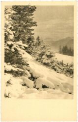 verschneite landschaft