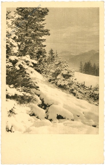 verschneite landschaft verschneite landschaft