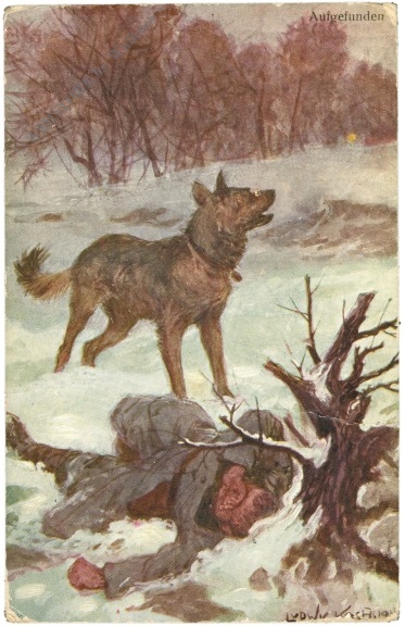 hund findet soldat hund findet soldat