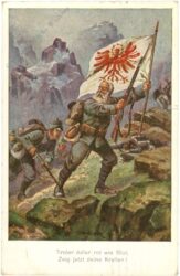 tiroler adler rot wie blut, zeig jetzt deine krallen!