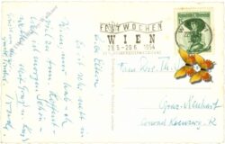 wien 1, rathaus, minoritenkirche