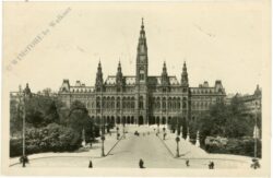wien 1, rathaus