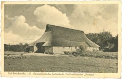 bad zwischenahn, ammerländisches bauernhaus, freilandmuseum dwersack