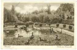 stendal, partie im tierpark