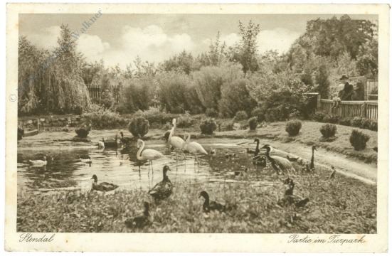 stendal, partie im tierpark