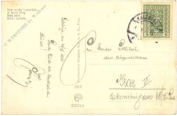 das weiße leuchten