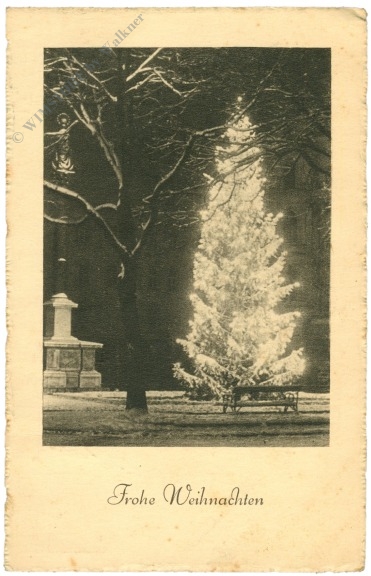 weihnachten beleuchtete tanne