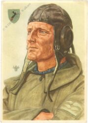 stukaflieger w. willrich