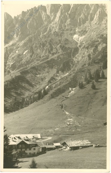 blick gegen die felsenwand blick gegen die felsenwand