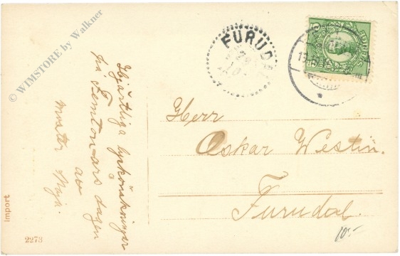 glückwünsche, mädchen mit blumen