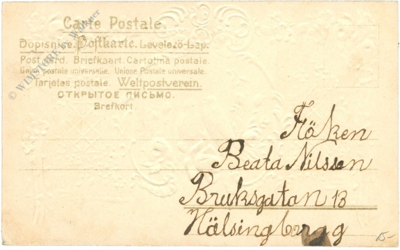 täubchen