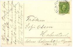 glückwünsche, veilchen mit hufeisen