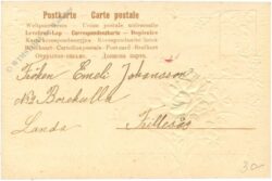 rosen, mit booten und schmetterling