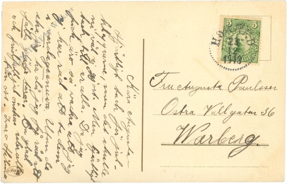 weihnachten kinder holen den baum