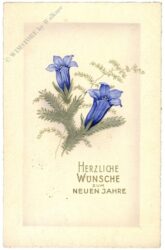 neujahr enzian neujahr enzian