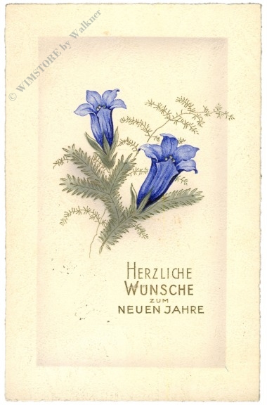 neujahr enzian