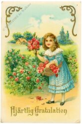 glückwünsche, mädchen mit rosen