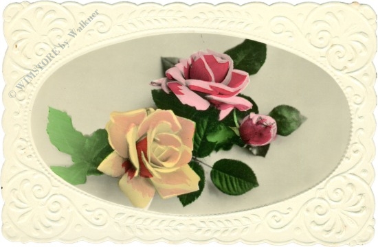 rosen