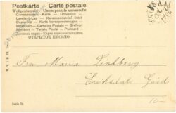 pärchen in laube mit wein