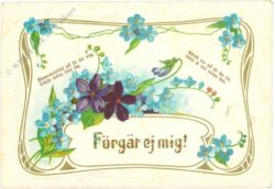 glückwünsche, blumen