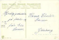 glückwünsche, blumen