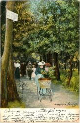 spaziergang im park