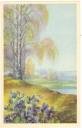 veilchen mit birken