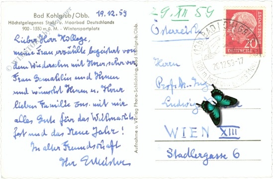 weihnachten verschneites haus bei nacht