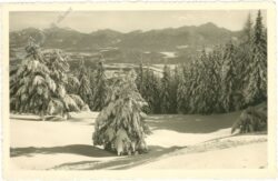 verschneite landschaft verschneite landschaft