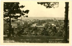 bruck an der leitha, ortsansicht