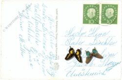 bornhofen am rhein, multiansicht