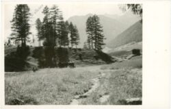 almweg