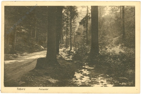 tabarz, felsental