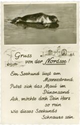 robbe gruss von der nordsee