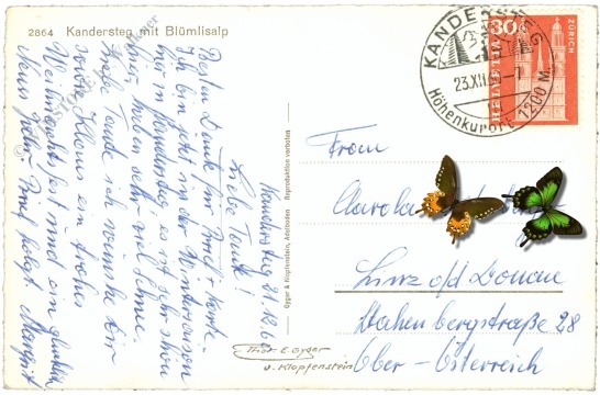 kandersteg, mit blümlisalp