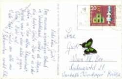 mainz, rheinpartie mainz, rheinpartie