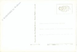 meran, brunnenburg und burg tyrol