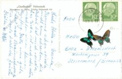heimstedt, quellenhof