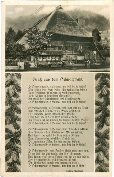 schwarzwald, gruss aus schwarzwald, gruss aus