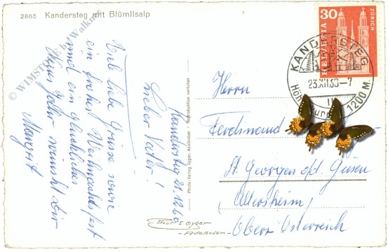 kandersteg, mit blümlisalp