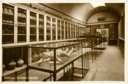 pompei, inneres des museums