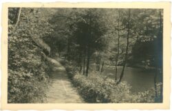 bad mühllacken, motiv am pesenbach