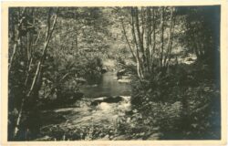 bad mühllacken, motiv am pesenbach