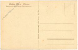 chiemsee, schloss herrenchiemsee, jagdzimmer (hellblauer salon genannt)