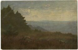 landschaft