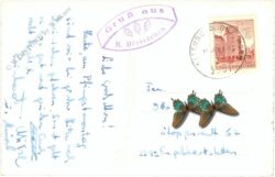 maria dreieichen, multiansicht