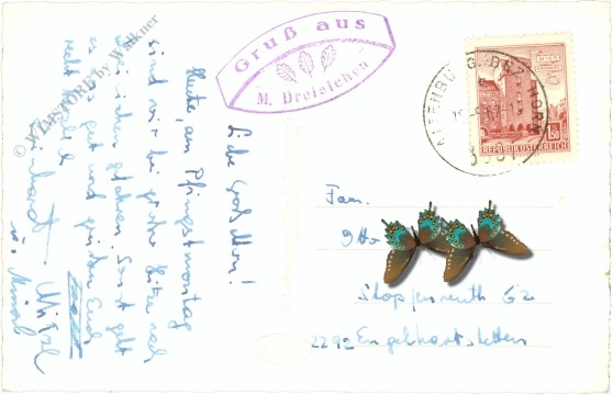 maria dreieichen, multiansicht